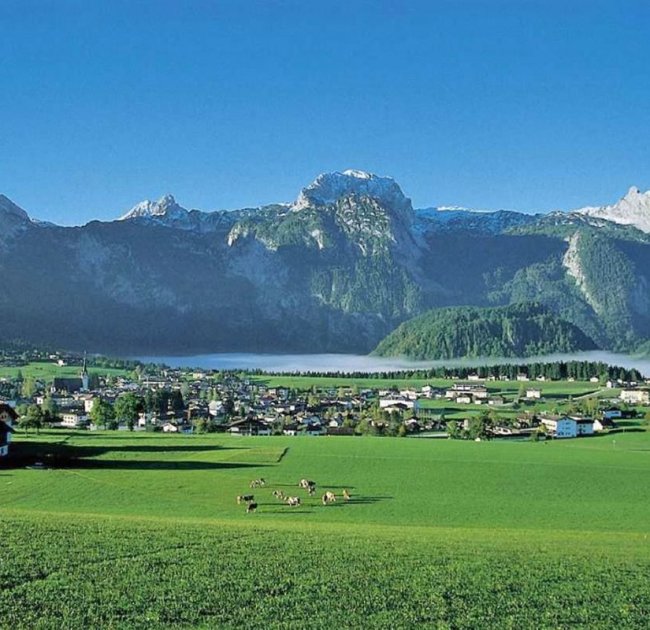 Köstliche Almjause bei einer Wanderung im Sommerurlaub in Abtenau